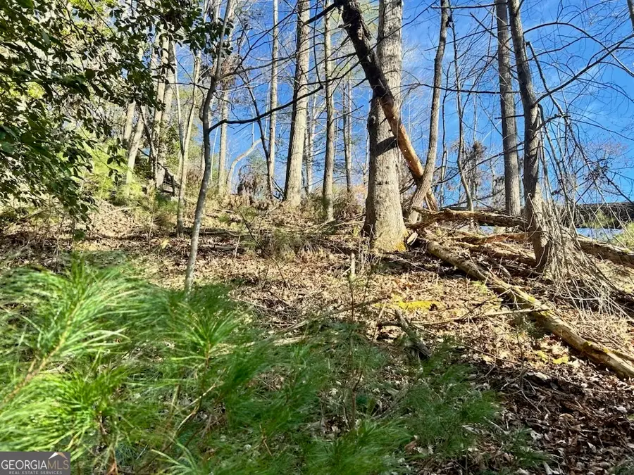 0 Corinth Church Road, Cleveland, GA 30528 - Image #2