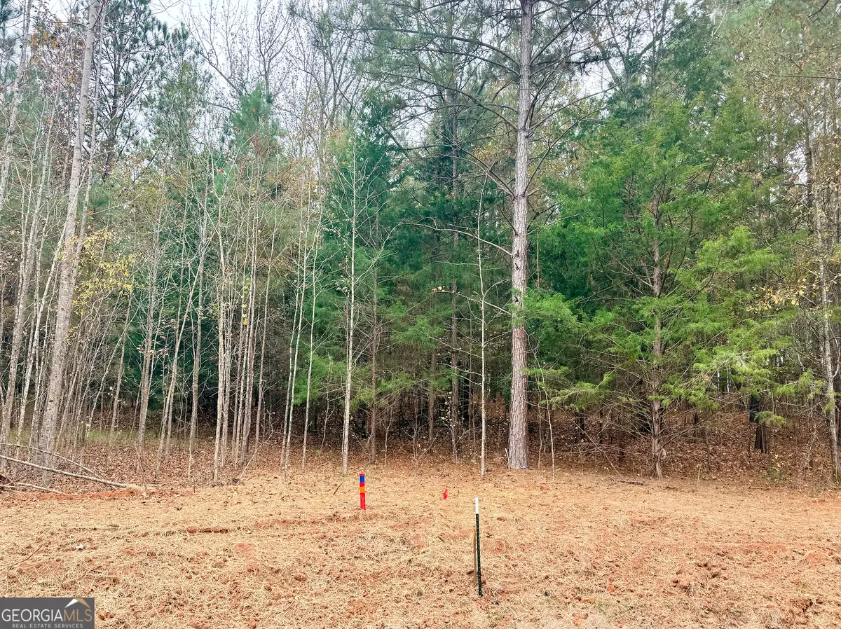 LOT 18 Rolling Meadows Way, Waverly Hall, GA 31831 - #1