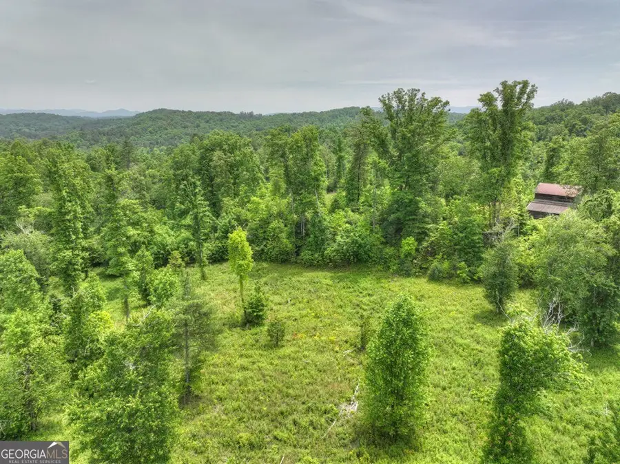 LOT 13 Hidden Acres #13, Blue Ridge, GA 30513 - Image #2