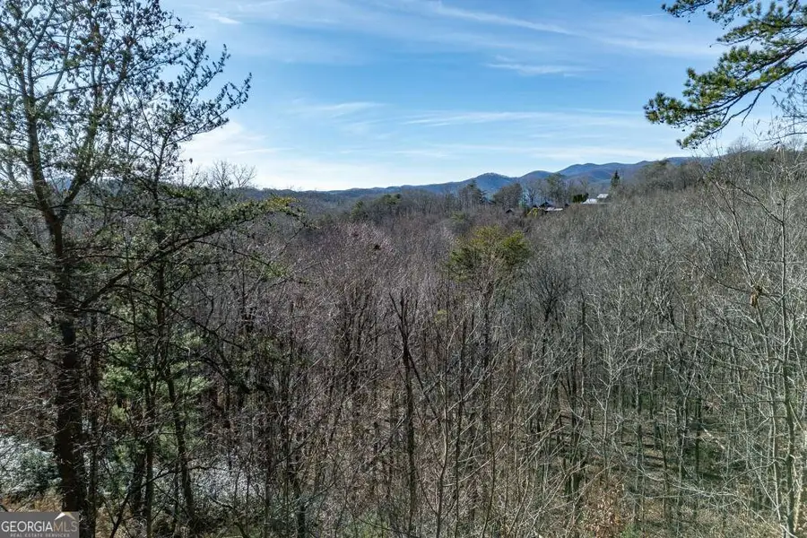 100 Smith Hill Road, Cherry Log, GA 30522 - Image #3