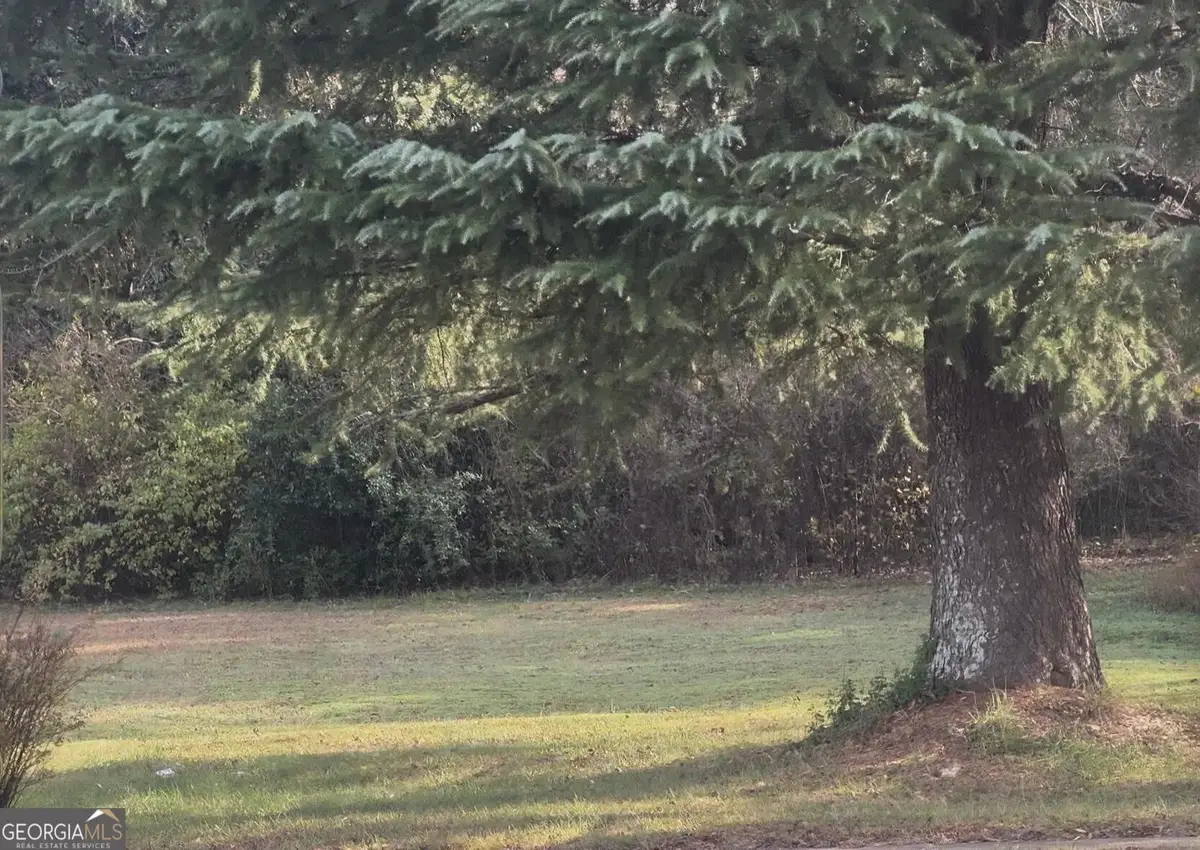 146 Hampton Street, McDonough, GA 30253 - #1