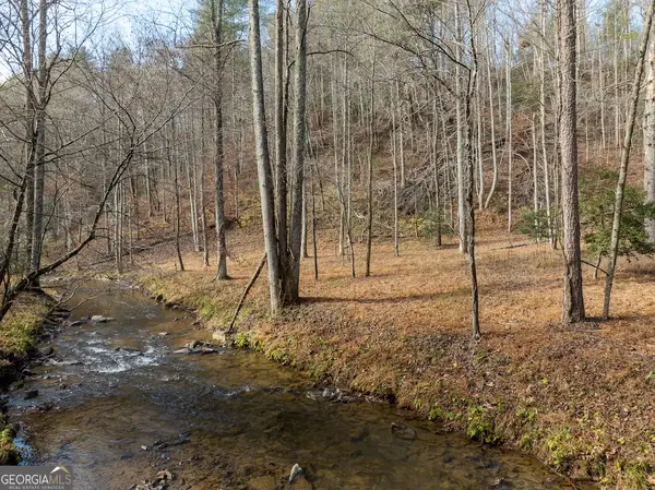 780 Banks Road, Ellijay, GA 30540