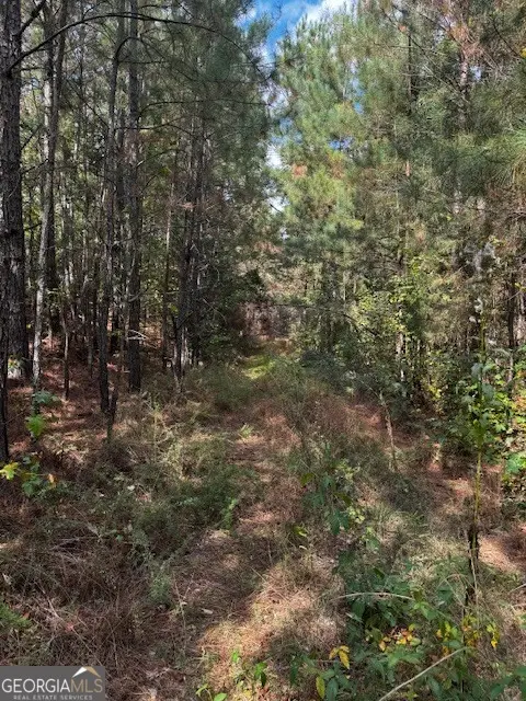 230 Dodgen Road, Hampton, GA 30228 - Image #2