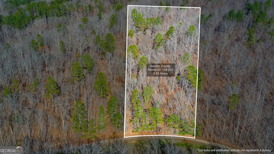 0 Rambling Road, Fairmount, GA 30139 - Image #2