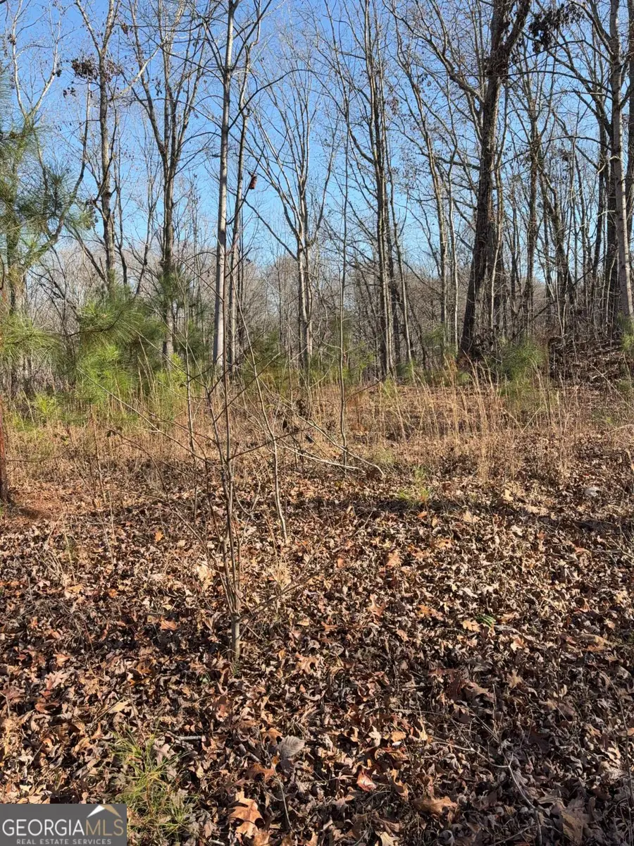 5164 Dudley Hill Road, Gainesville, GA 30506 - Image #2