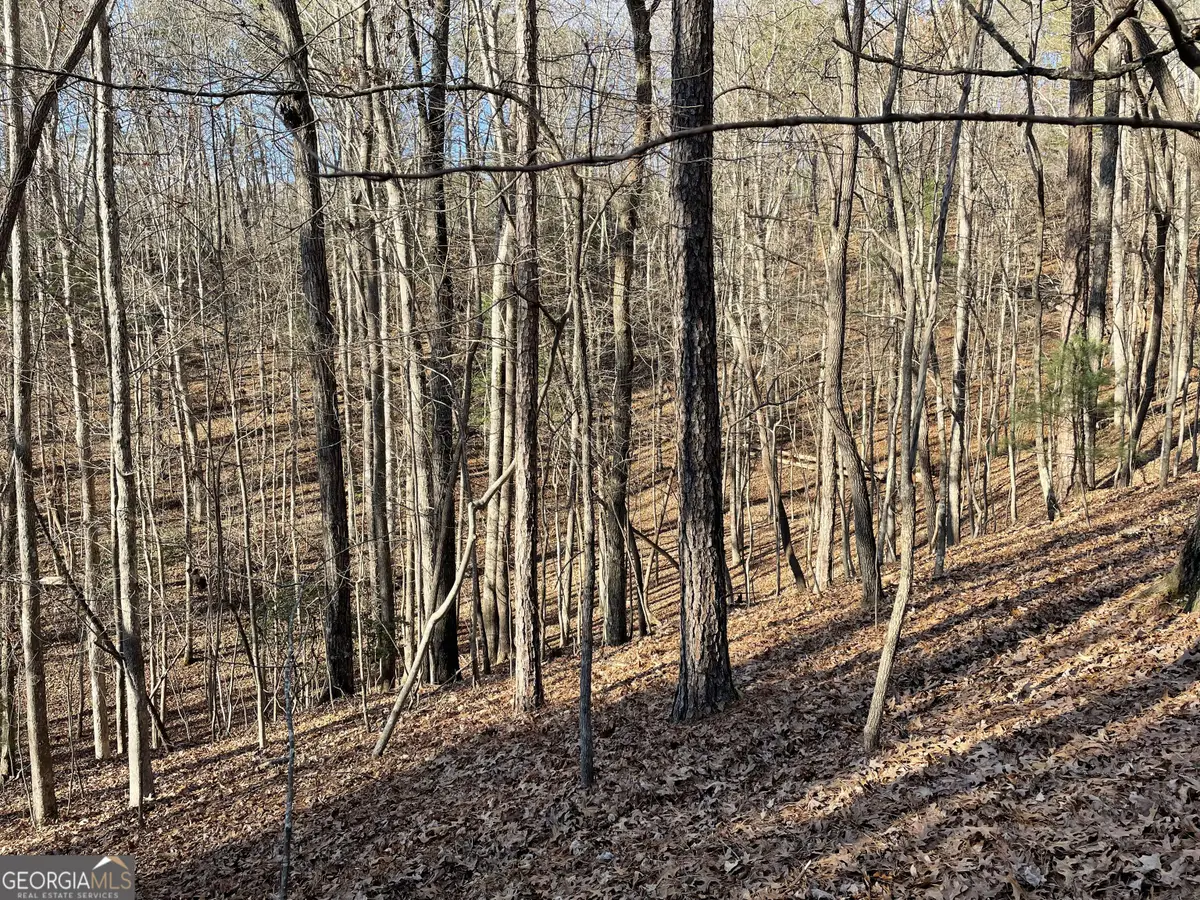 2458 Montage Drive #2458, Ellijay, GA 30540 - Image #1