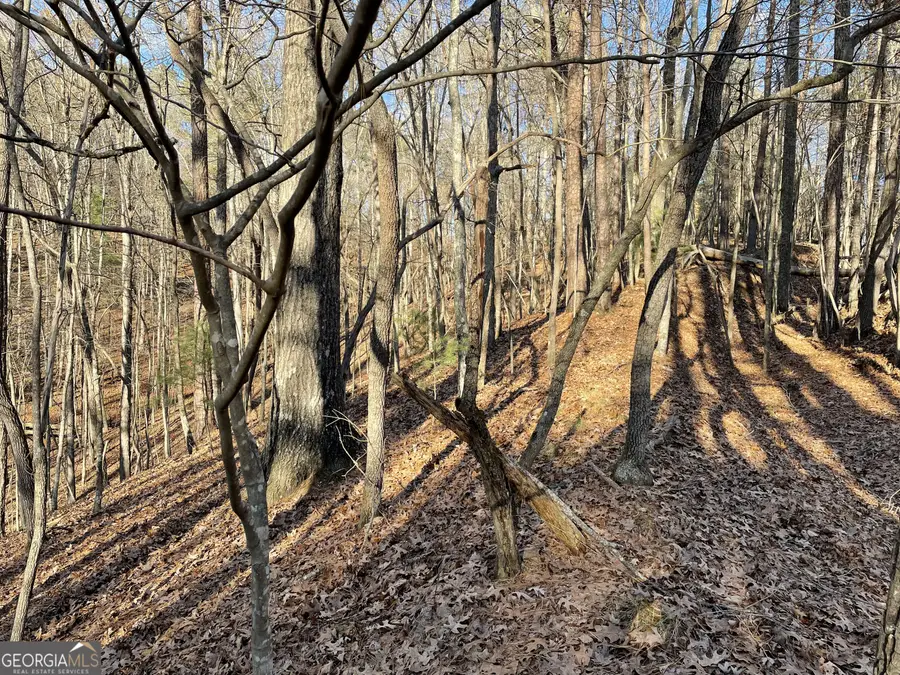 2458 Montage Drive #2458, Ellijay, GA 30540 - Image #2