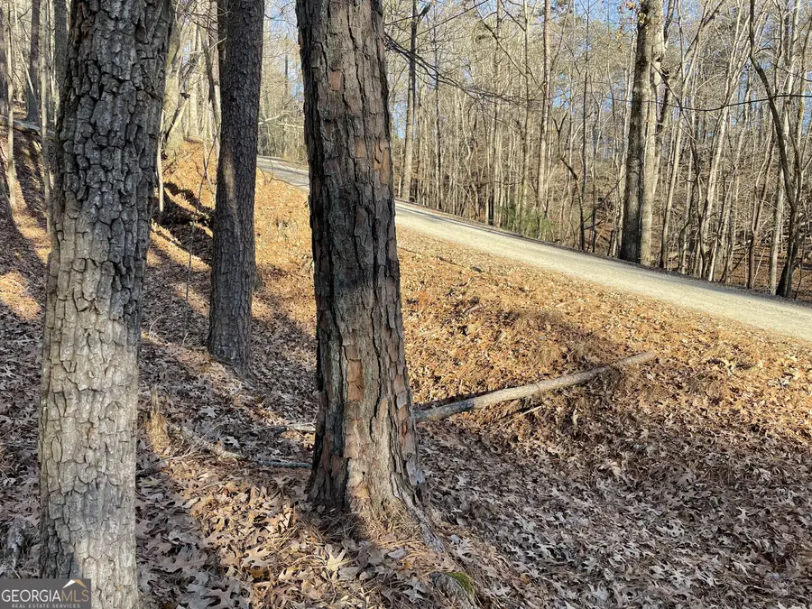 2458 Montage Drive #2458, Ellijay, GA 30540 - Image #3