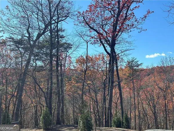 503 Saint Andrews Way, Ellijay, GA 30536