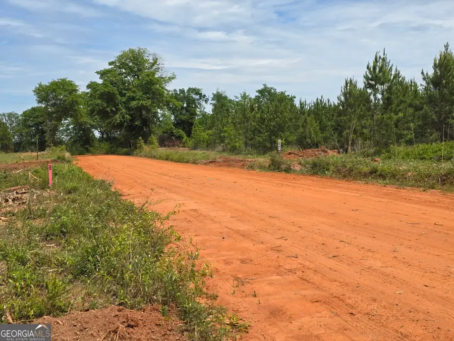 034 Beckwith Road, Ellaville, GA 31806 - Image #2