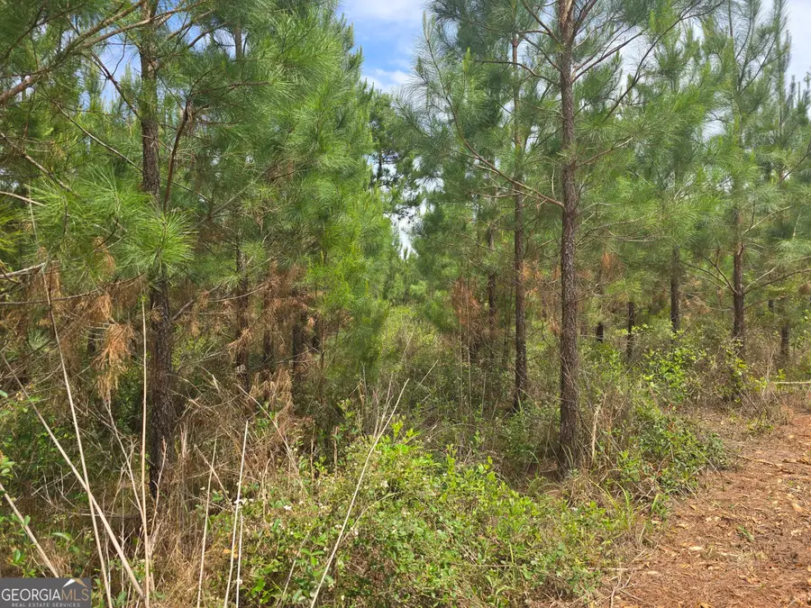 034 Beckwith Road, Ellaville, GA 31806 - Image #3