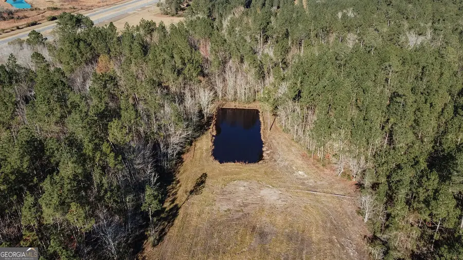 321 Mae Lane, Baxley, GA 31513 - Image #3