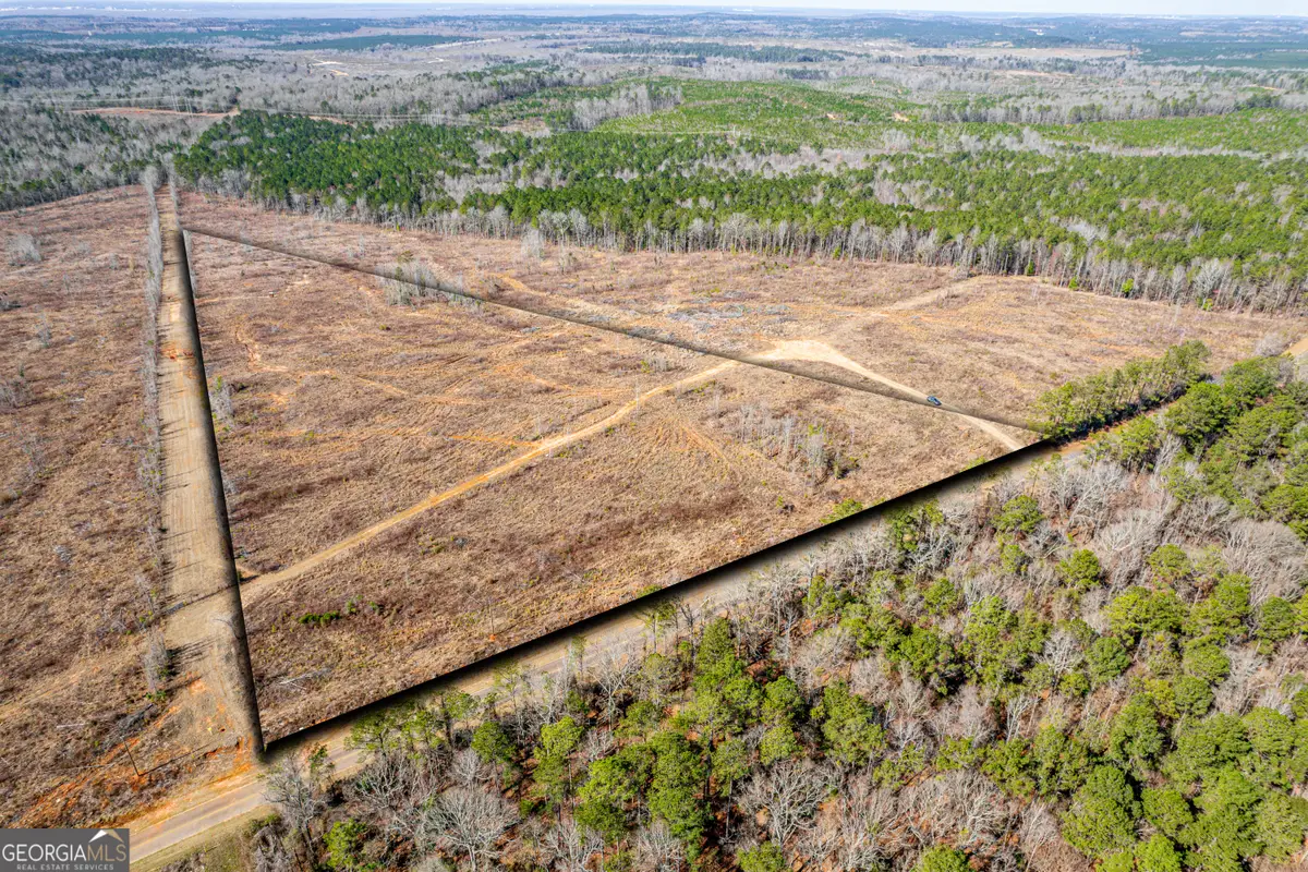 869 Marion Ripley Road, Dry Branch, GA 31020 - Image #1