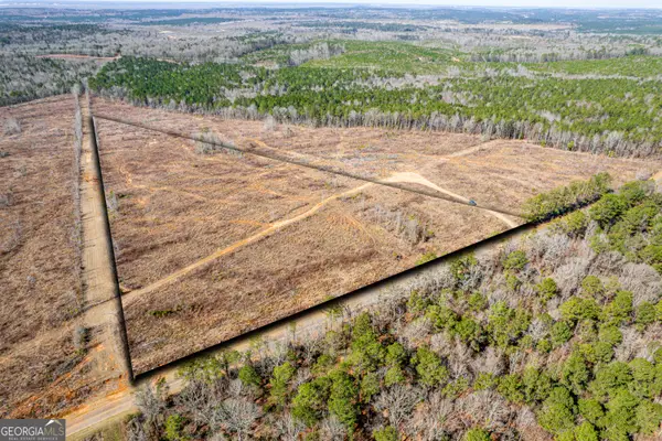 869 Marion Ripley Road, Dry Branch, GA 31020