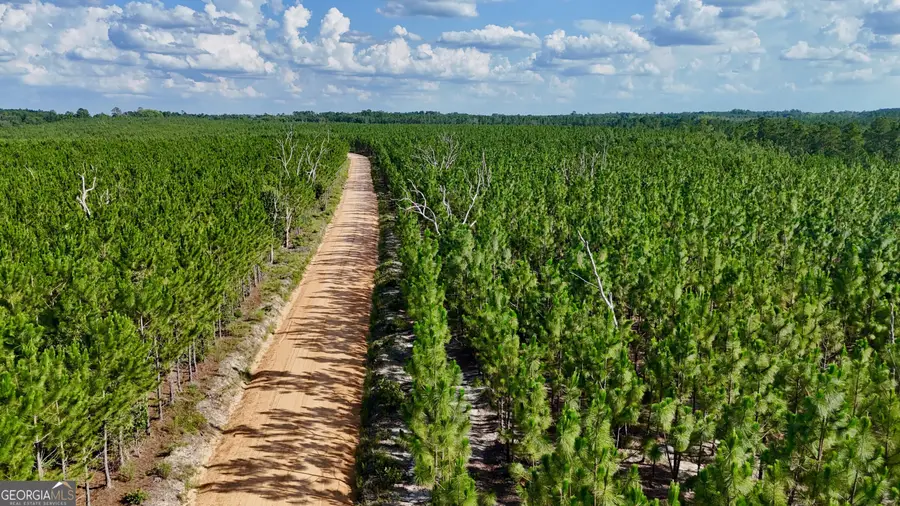 TRACT 7 Penny Morris Road, Baxley, GA 31513 - Image #3