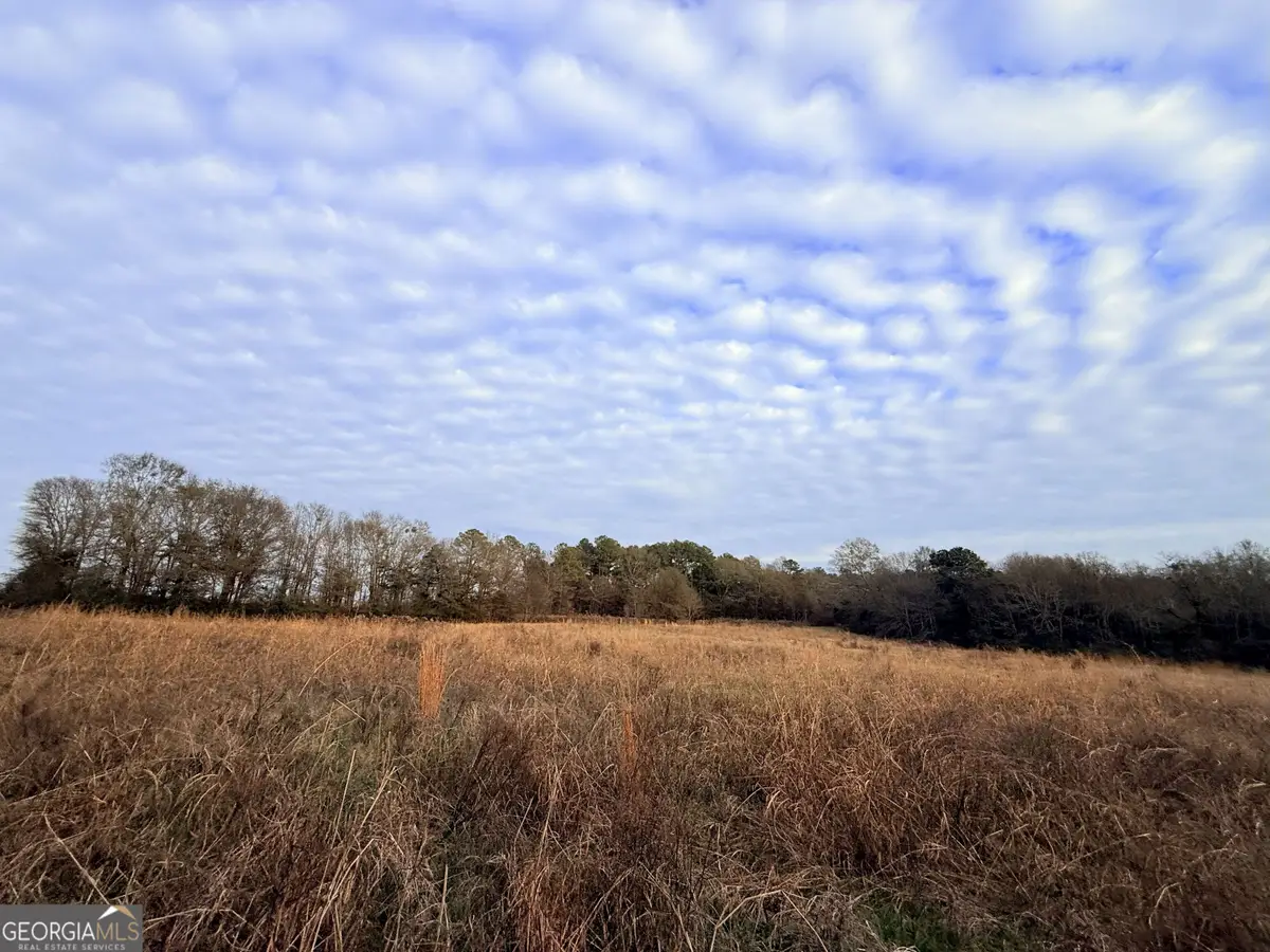 0 Bowman Highway, Dewy Rose, GA 30634 - Image #1