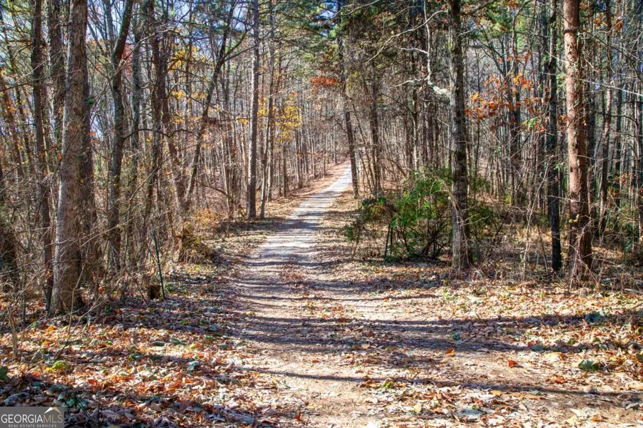 119 Waldrip Drive, Dawsonville, GA 30534 - Image #2