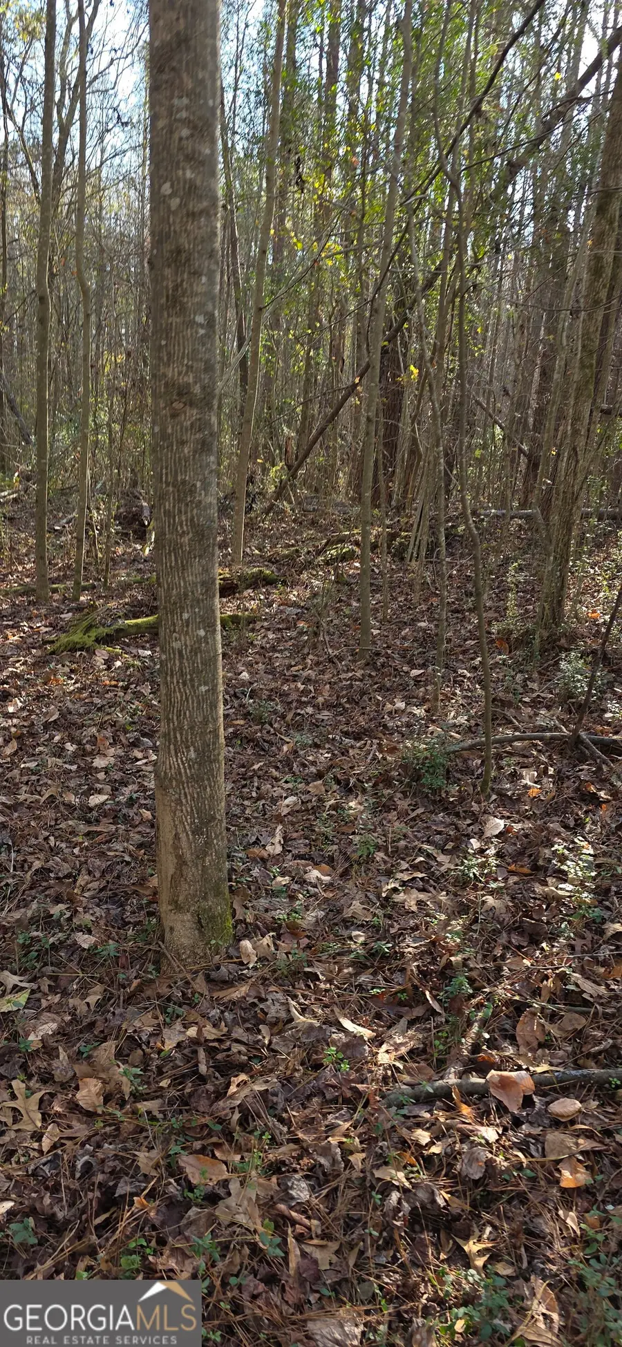 0 Martin Street, Mount Zion, GA 30150 - Image #2