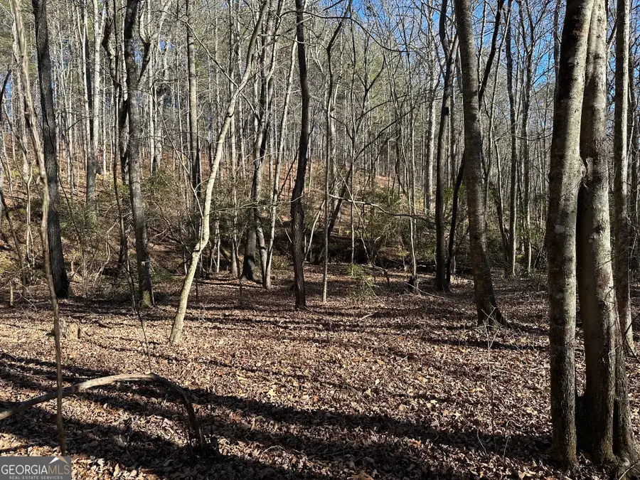 125 Patriot View Drive, Dahlonega, GA 30533 - #2