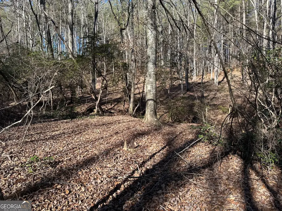 125 Patriot View Drive, Dahlonega, GA 30533 - #3