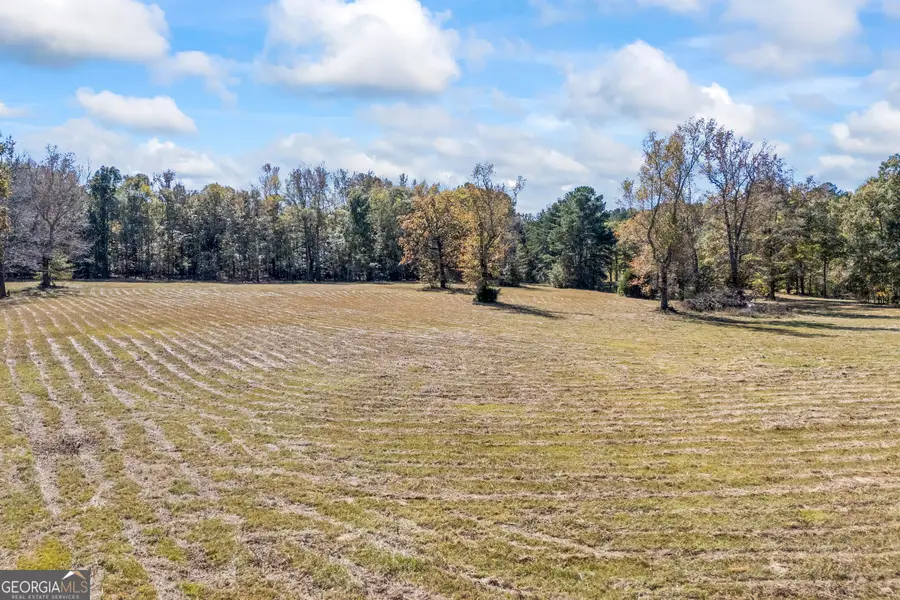 1091 E Peachtree Avenue, Woodville, GA 30669 - Image #3