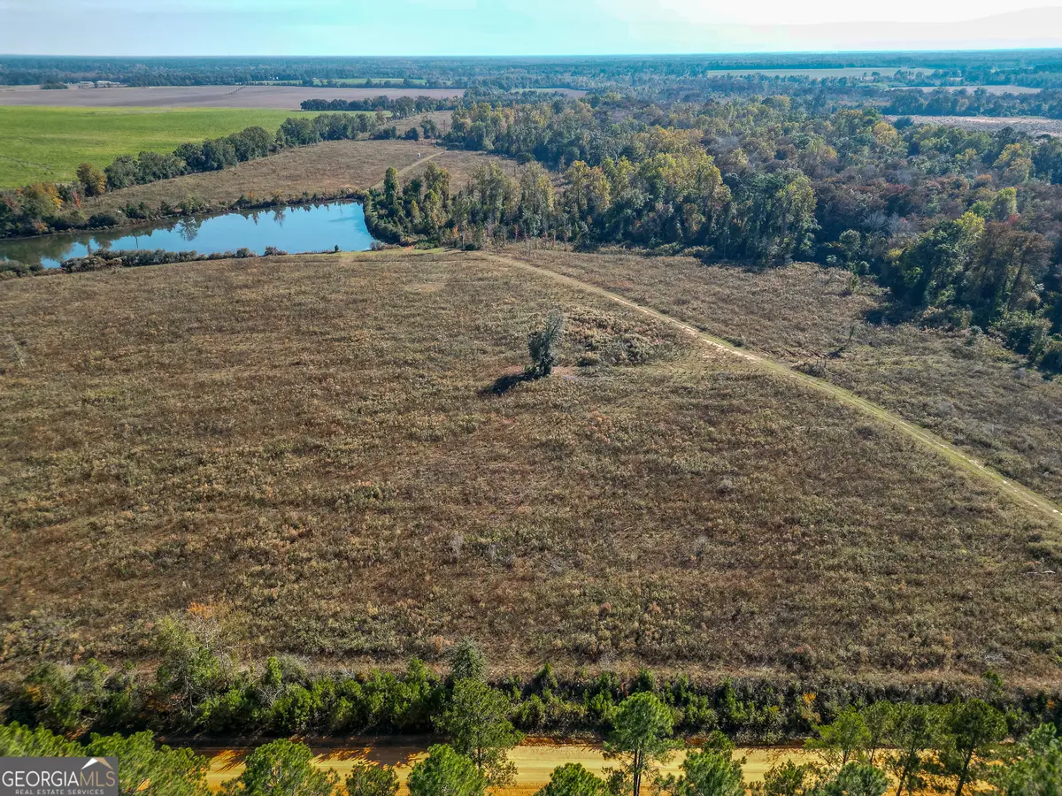 0 William Avera Road, Morgan, GA 39866 - Image #1