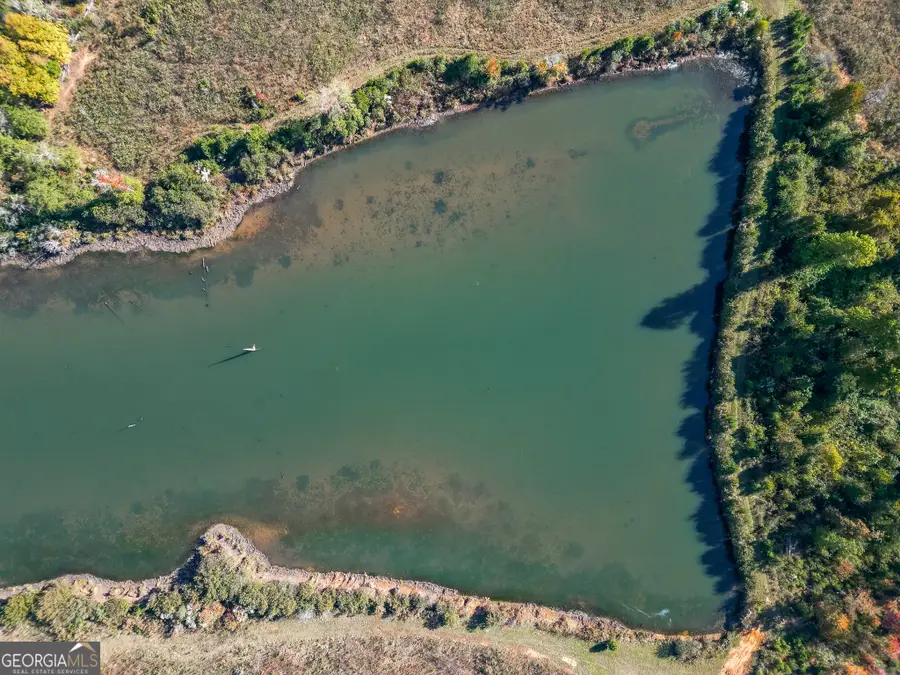 0 William Avera Road, Morgan, GA 39866 - Image #2