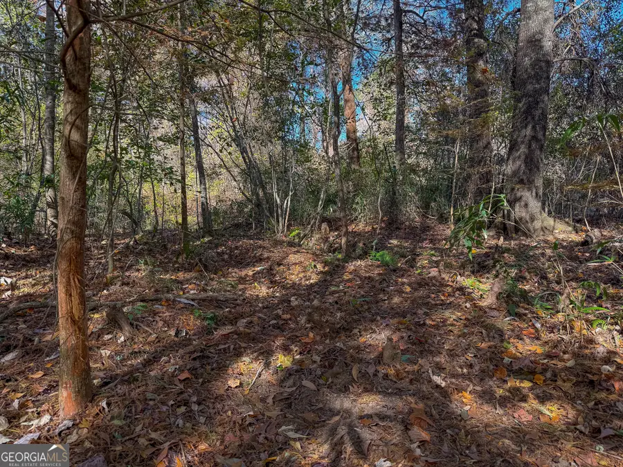 0 William Avera Road, Morgan, GA 39866 - Image #3