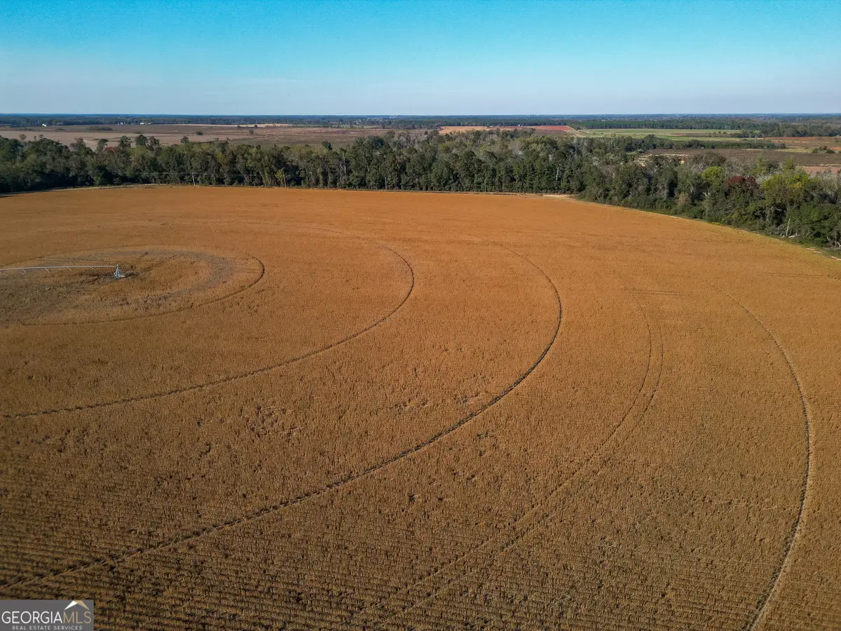 0 Buck Road, Morgan, GA 39866 - Image #1