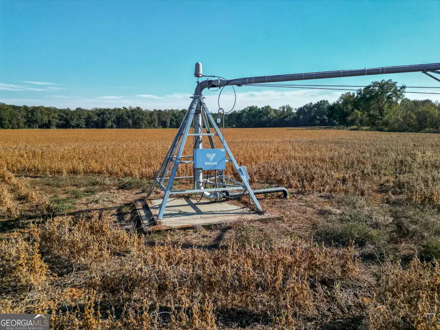 0 Buck Road, Morgan, GA 39866 - Image #2