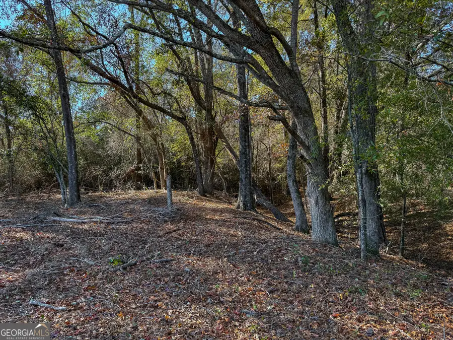 0 Buck Road, Morgan, GA 39866 - Image #3