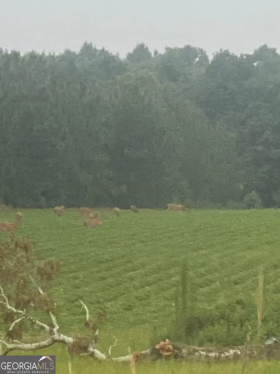 0 Morton Road, Montrose, GA 31065 - Image #2