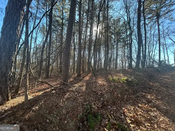 0 Highland Tree Court, Ranger, GA 30734