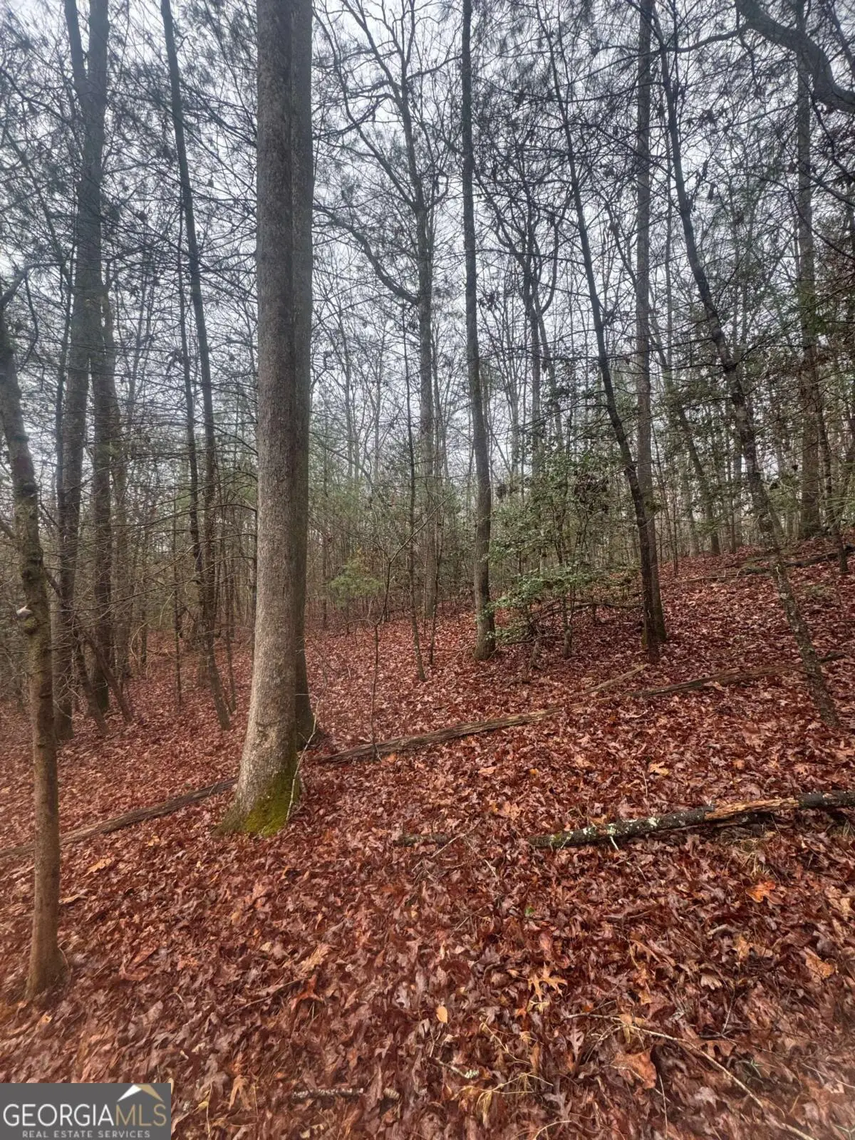 0 Mountaintown Trail, Ellijay, GA 30540 - Image #1