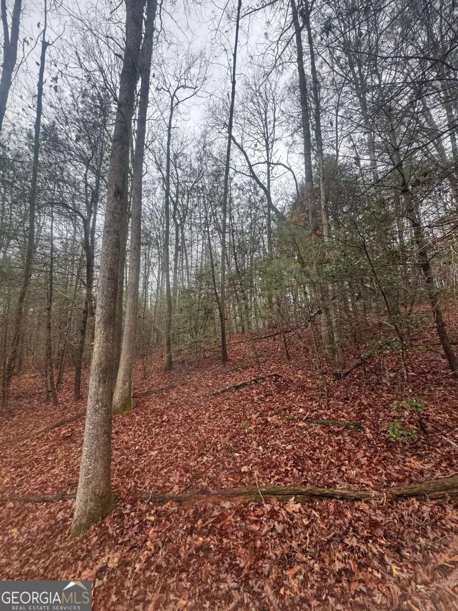 0 Mountaintown Trail, Ellijay, GA 30540 - Image #2