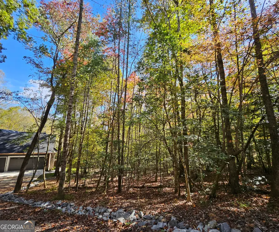 167 Happy Valley Lane, Morganton, GA 30560 - Image #2