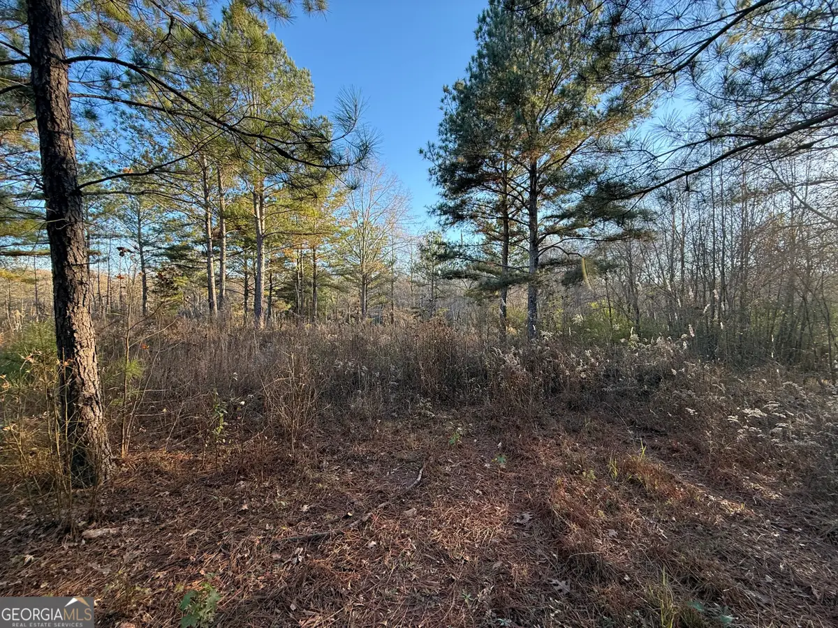 0 Oliver Road, Barnesville, GA 30204 - Image #1