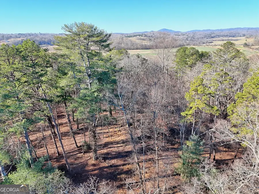 #4 Annandale Drive, Clarkesville, GA 30523 - Image #3