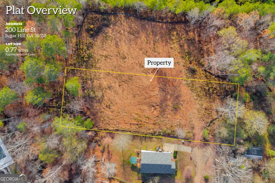 204 Line Street, Buford, GA 30518 - #2