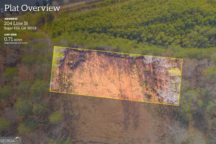 204 Line Street, Buford, GA 30518 - #3