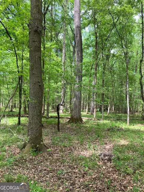 310 Philomath Woodville Road, Rayle, GA 30660 - Image #2