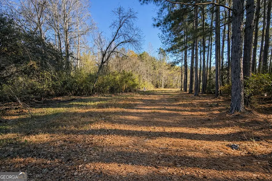 1212 Lake Collins Road, Twin City, GA 30471 - #2