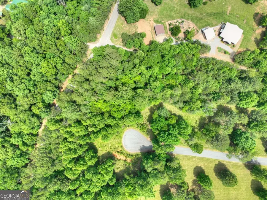 LOT 132 Fox Cove Road #132, Blairsville, GA 30512 - #2