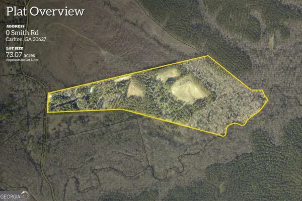 0 Smith Road, Carlton, GA 30627