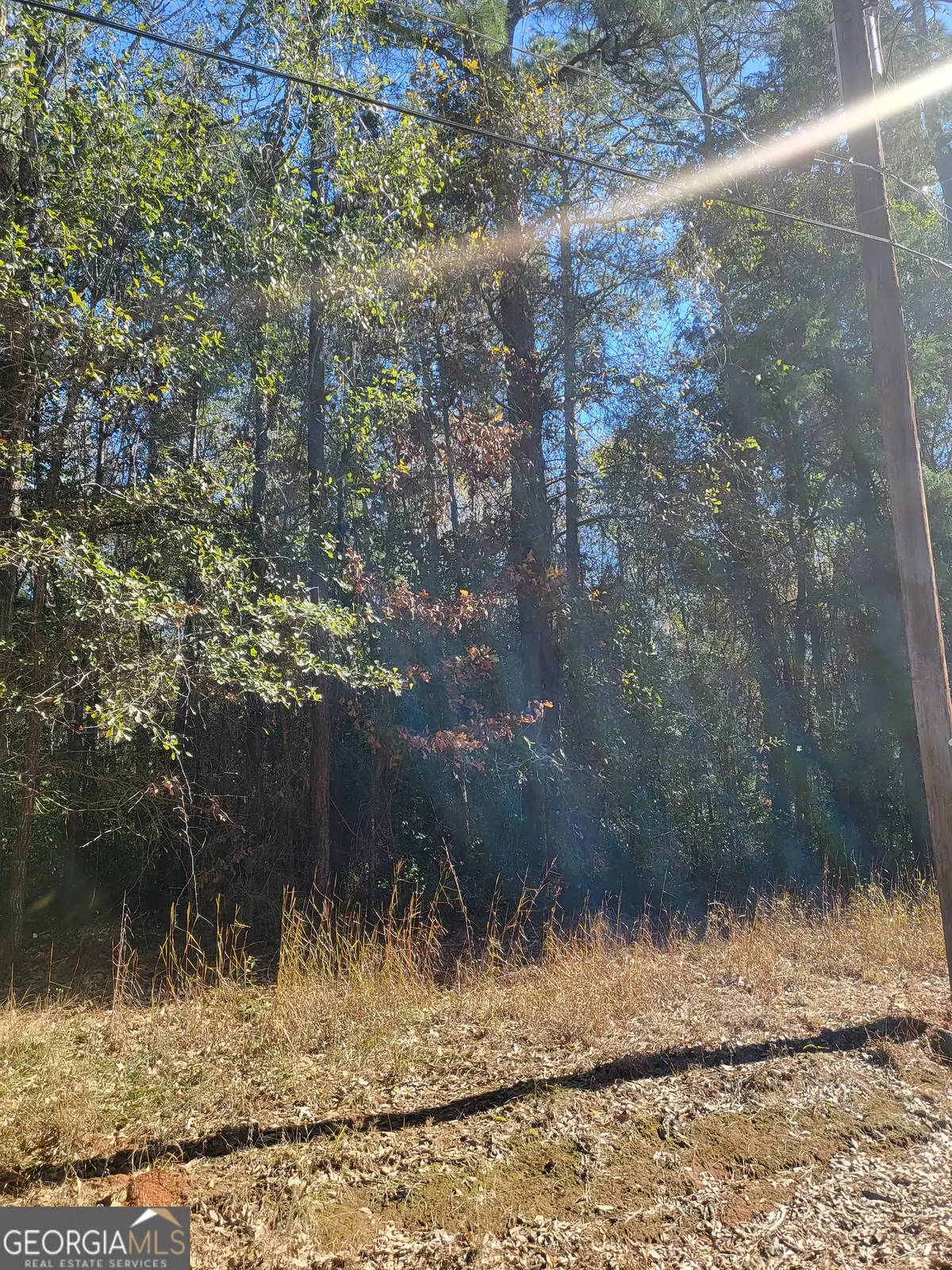 0 Lumpkin Street, Albany, GA 31705 - #1