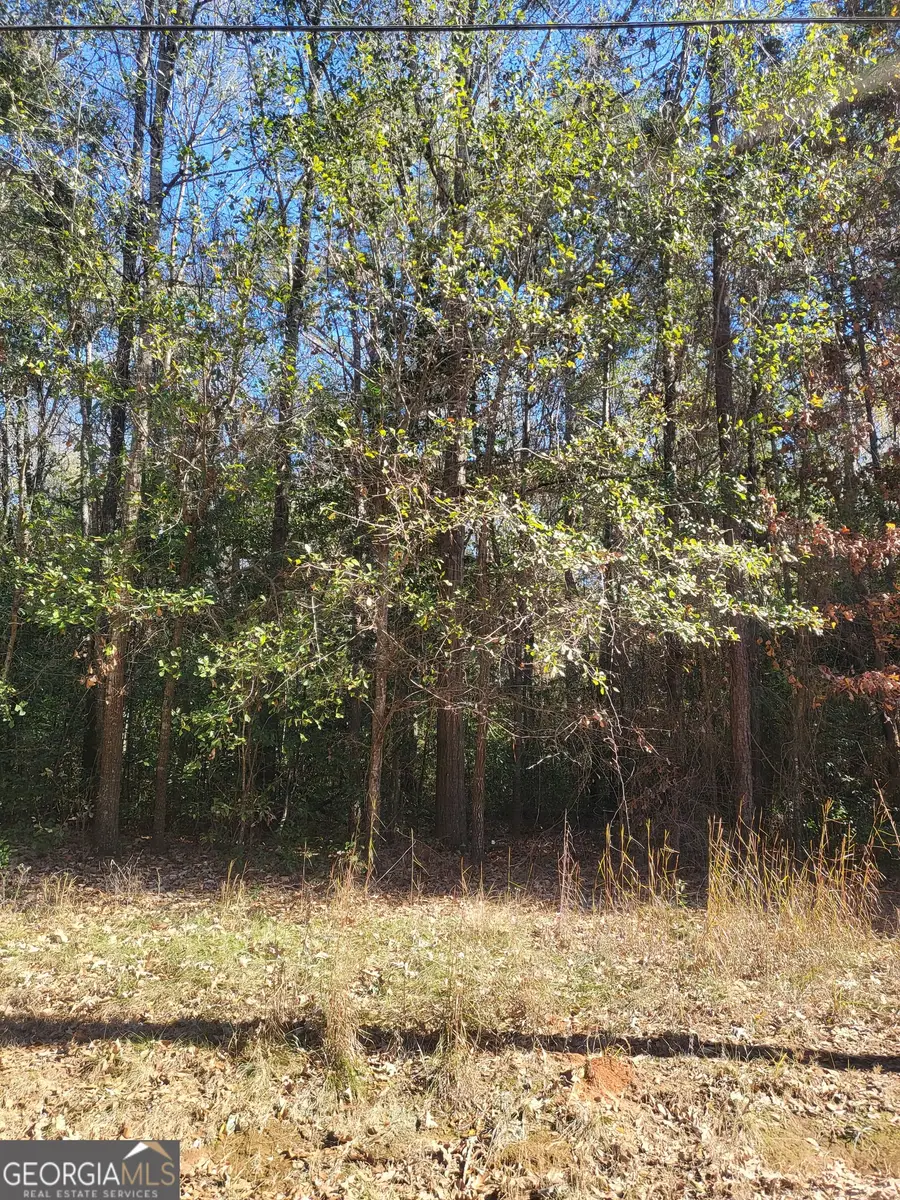 0 Lumpkin Street, Albany, GA 31705 - #2