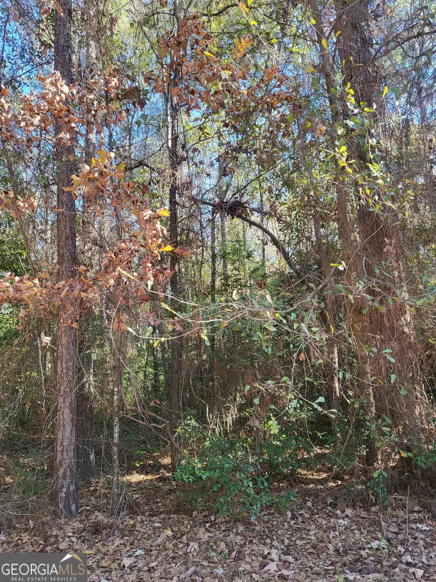 0 Lumpkin Street, Albany, GA 31705 - #3