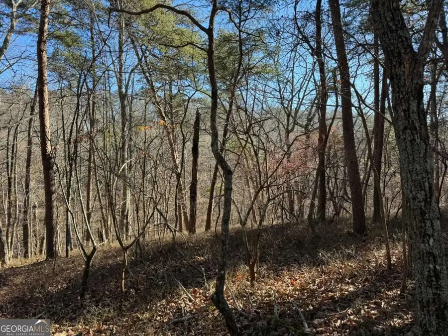 1493 Derby Court Ne, Ranger, GA 30734 - #2