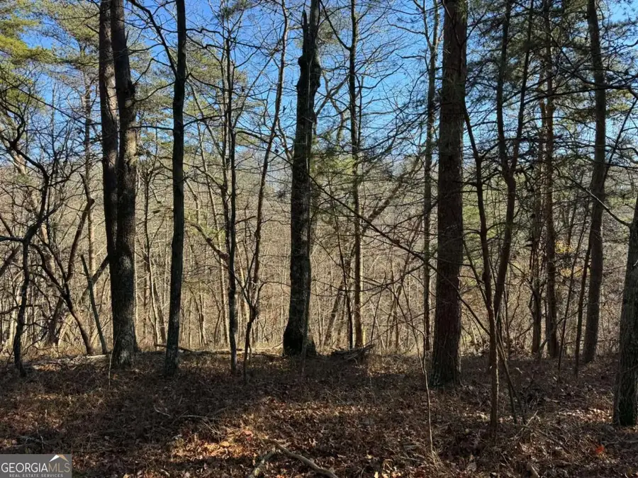 1493 Derby Court Ne, Ranger, GA 30734 - #3