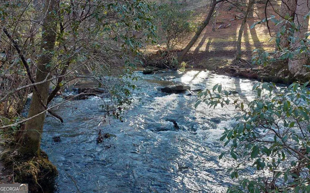 193 Opossum Road #61, Blairsville, GA 30512 - #1
